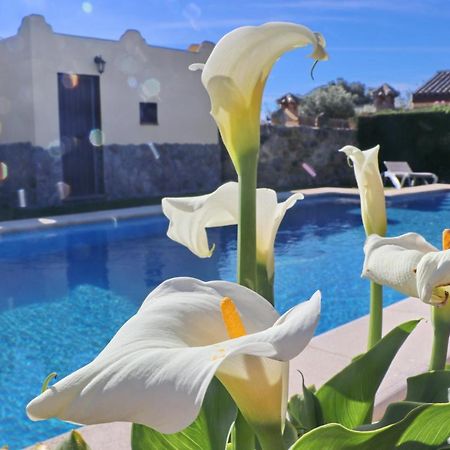 Chalet Bella Mendoza Conil De La Frontera Ngoại thất bức ảnh
