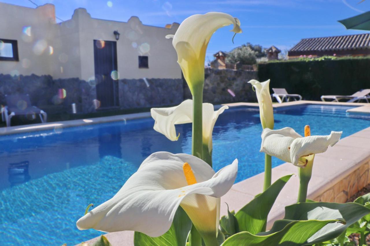 Chalet Bella Mendoza Conil De La Frontera Ngoại thất bức ảnh